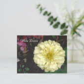 White Zinnia Briefkaart (Staand voorkant)