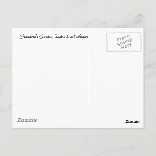 White Zinnia Briefkaart (Achterkant)