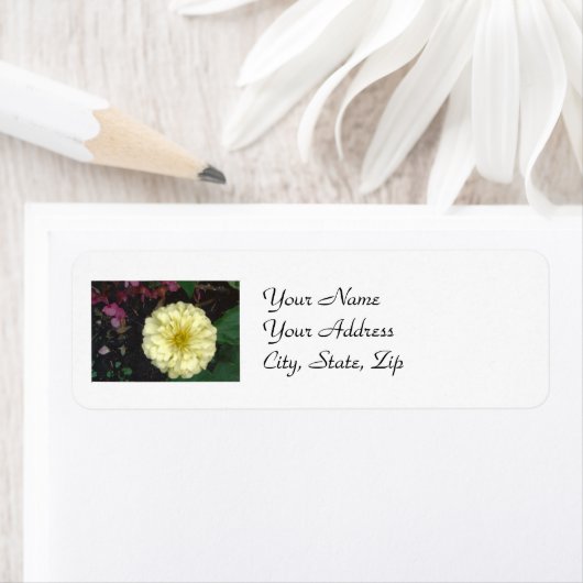 White Zinnia Etiket (Insitu)