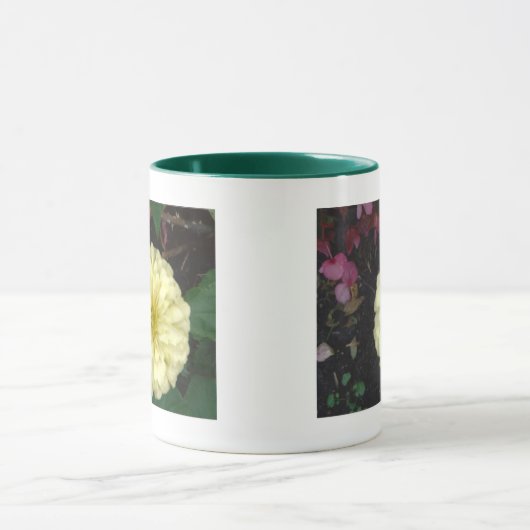 White Zinnia Mok (Midden)