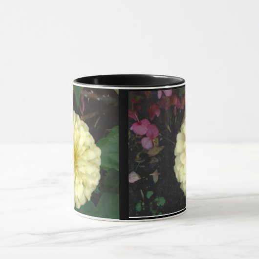 White Zinnia Mok (Midden)