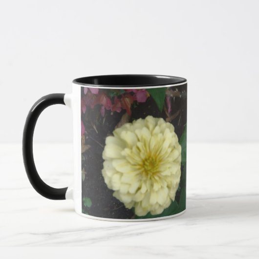 White Zinnia Mok (Links)