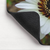 White Zulu prince Daisy Muismat (Hoek)