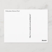 Whitebark pine (Pinus albicaulis) - geelsteen Briefkaart (Achterkant)