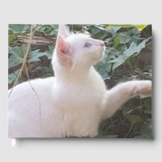 whitecat GuestBook Gastenboek