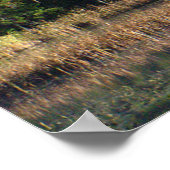 Whiteface Mountain over Little Cherrypatch Pond Poster (Hoek)