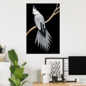 Whitefaced Pearl Pied Cockatiel Poster (Thuiskantoor)