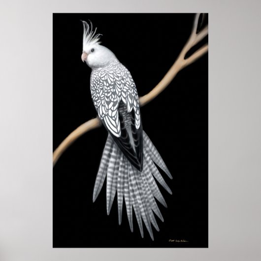Whitefaced Pearl Pied Cockatiel Poster (Voorkant)