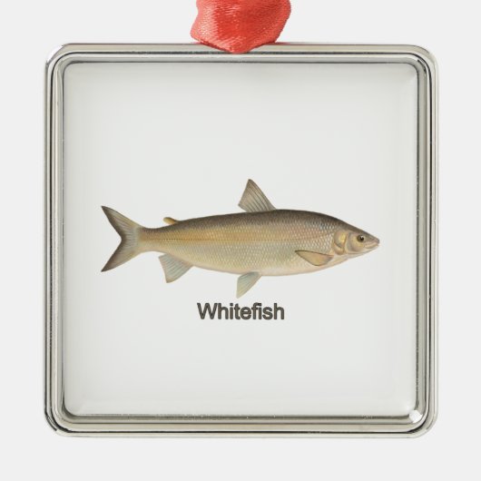 Whitefish Metalen Ornament (Voorkant)