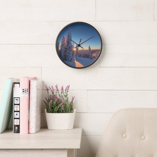 Whitefish, Montana (Leeskamer)