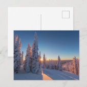 Whitefish, Montana Briefkaart (Voorkant / Achterkant)