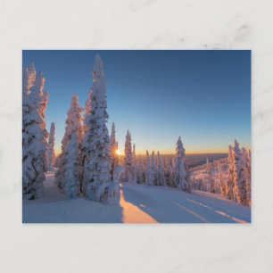 Whitefish, Montana Briefkaart