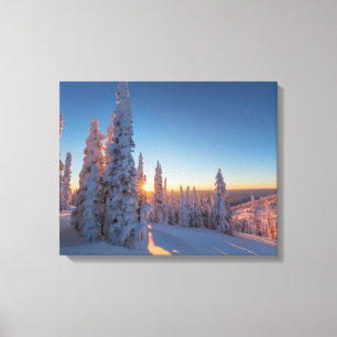 Whitefish, Montana Canvas Afdruk