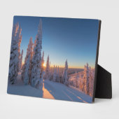 Whitefish, Montana Fotoplaat (Zijkant)