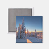 Whitefish, Montana Magneet (Voorkant / Achterkant)