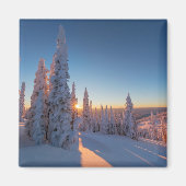 Whitefish, Montana Magneet (Voorkant)