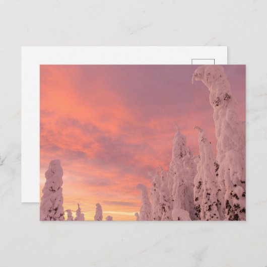 Whitefish Range | Whitefish, Montana Briefkaart (Voorkant / Achterkant)