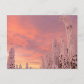 Whitefish Range | Whitefish, Montana Briefkaart (Voorkant)