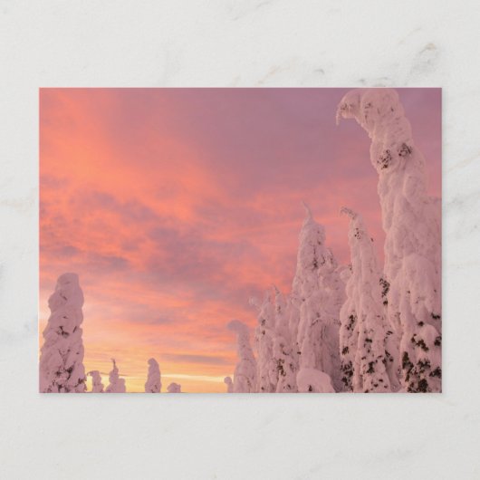 Whitefish Range | Whitefish, Montana Briefkaart (Voorkant)