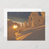 Whitefish Range | Whitefish, Montana Briefkaart (Voorkant / Achterkant)