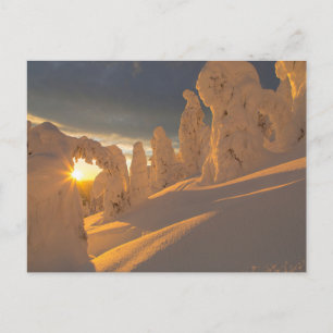Whitefish Range   Whitefish, Montana Briefkaart
