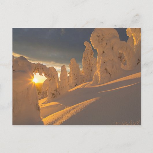 Whitefish Range | Whitefish, Montana Briefkaart (Voorkant)