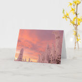 Whitefish Range | Whitefish, Montana Kaart (Gele Bloem)