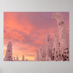 Whitefish Range Whitefish, Montana Poster