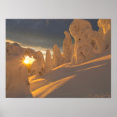 Whitefish Range | Whitefish, Montana Poster (Voorkant)