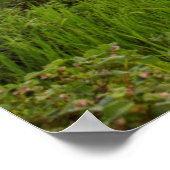 Whitefish River with nice sunrise clouds Poster (Hoek)