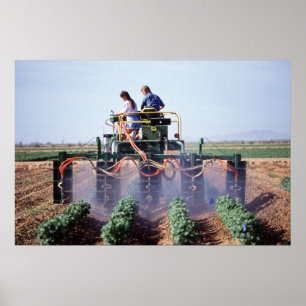 Whitefly control poster