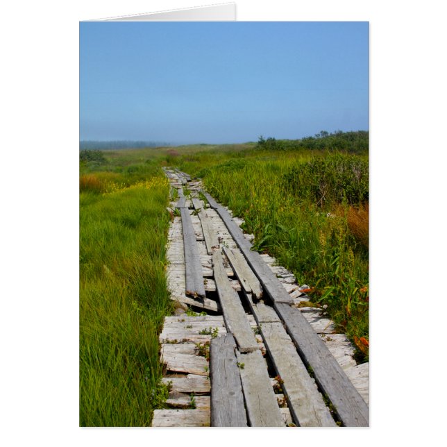 Whitehead Island (Voorkant)