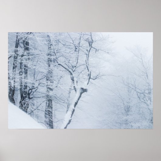 Whiteout Poster (Voorkant)