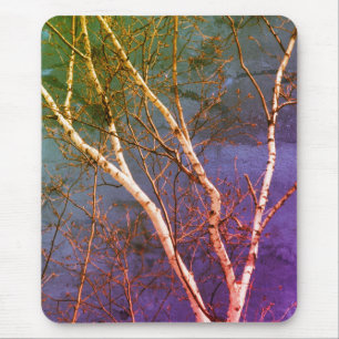Whitepaper - Birch Tree Blue Sky Natuur Art Muismat