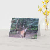 Whitetail Birthday card Kaart (Gele Bloem)