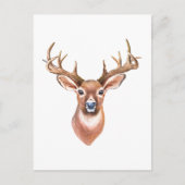Whitetail Buck-Briefkaart Briefkaart (Voorkant)