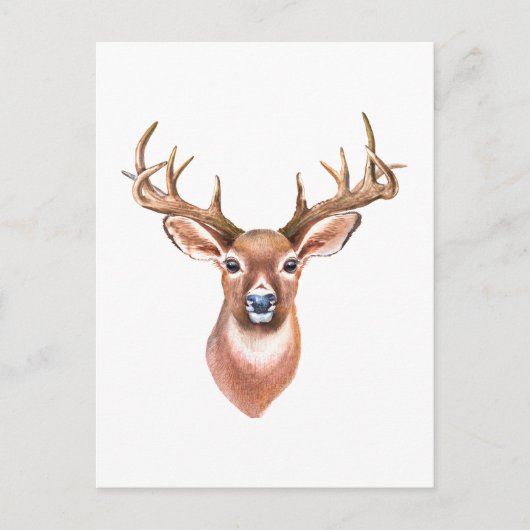 Whitetail Buck-Briefkaart Briefkaart (Voorkant)