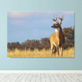 Whitetail Buck Canvas Print (Insitu (Houten vloer))