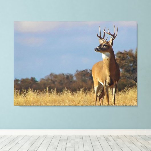 Whitetail Buck Canvas Print (Insitu (Houten vloer))