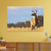 Whitetail Buck Canvas Print (Insitu (Woonkamer))