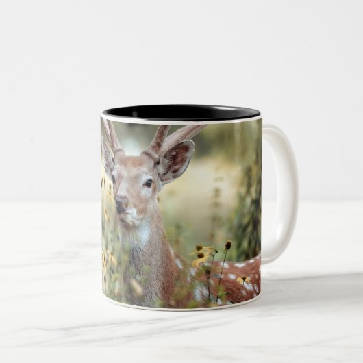 Whitetail Buck Deer geweldige jagen Tweekleurige Koffiemok (Voorkant rechts)