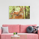 Whitetail Buck en Fawn Bonding Canvas Afdruk (Insitu (Woonkamer))