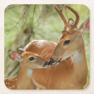 Whitetail Buck en Fawn Bonding Kartonnen Onderzetters