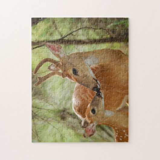 Whitetail Buck en Fawn Bonding Legpuzzel (Verticaal)