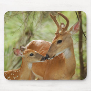 Whitetail Buck en Fawn Bonding Muismat
