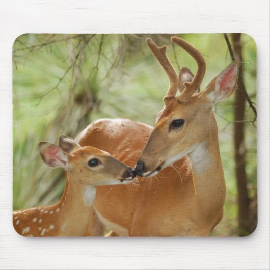 Whitetail Buck en Fawn Bonding Muismat (Voorkant)