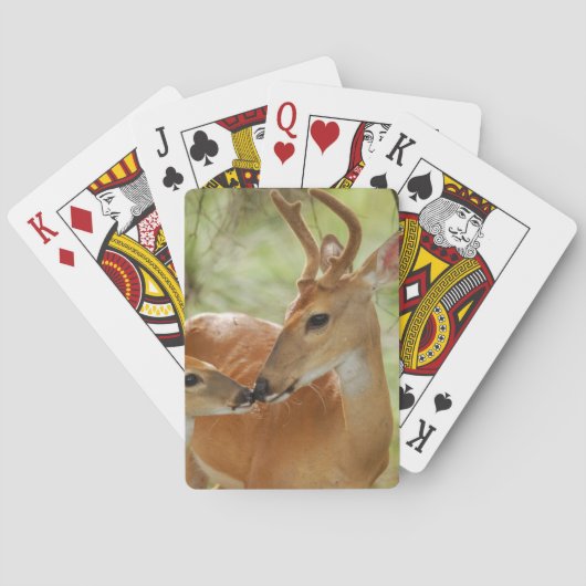 Whitetail Buck en Fawn Bonding Pokerkaarten (Achterkant)