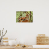 Whitetail Buck en Fawn Bonding Poster (Keuken)