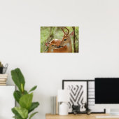 Whitetail Buck en Fawn Bonding Poster (Thuiskantoor)