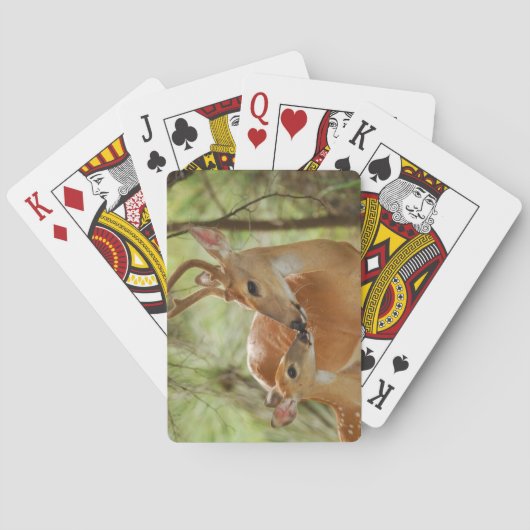 Whitetail Buck en Fawn Bonding Speelkaarten (Achterkant)
